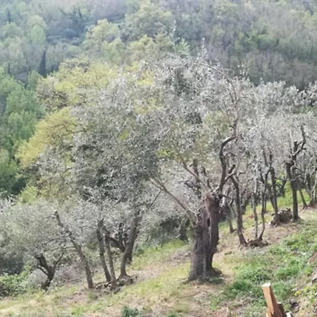 La Casa Di Serena Holiday home *